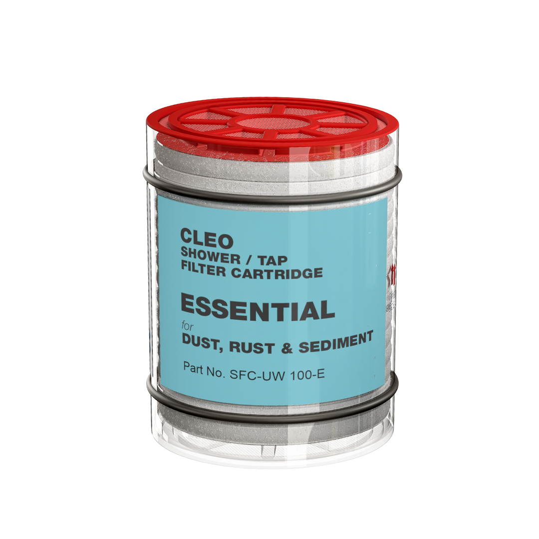 Essential Cartridge - Pack of 2 | Dust, Rust and Sediment Filter