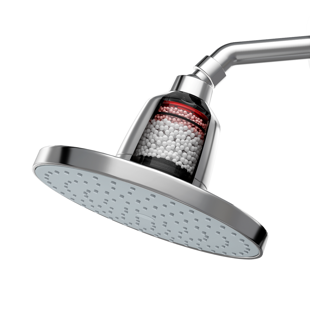 Chrome | With Shower Arm